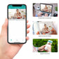 Dual Lens Wifi Camera With ICSEE App 8MP 8 X Zoom