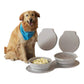 Portable Foldable Pet Bowl