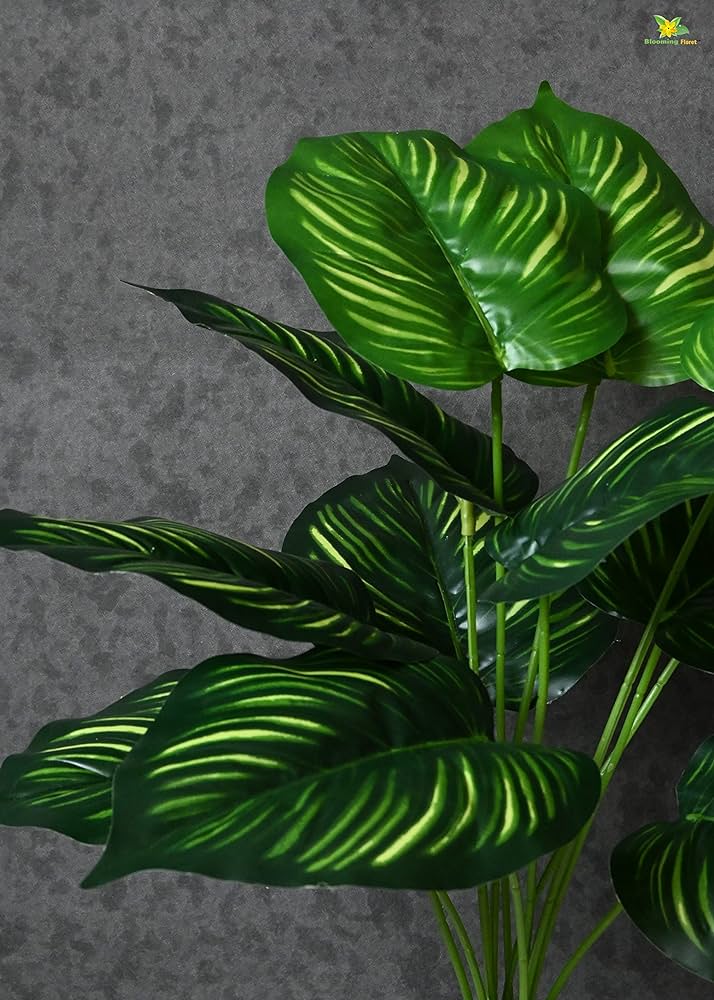 Artificial Calathea Orbifolia Plant for Home Decor/Office Decor/Gifting | 50cm