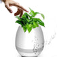 Creative Smart Bluetooth Touch Music Flower Home Office Decoration Green Music Flowerpot Night Light with Speaker