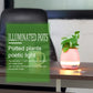 Creative Smart Bluetooth Touch Music Flower Home Office Decoration Green Music Flowerpot Night Light with Speaker