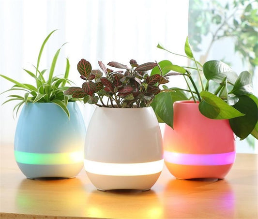 Creative Smart Bluetooth Touch Music Flower Home Office Decoration Green Music Flowerpot Night Light with Speaker