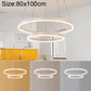 Chandeliers
Modern Minimalist Ring LED Chandelier Restaurant Bedroom Creative Personality Round Aluminum Lamps, Double Circle 80+100cm, Stepless Dimming + Remote Control-Available In Options