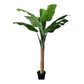 Artificial Banana Tree - Crack Banana Tree - Artificial Plant Floor (with Pot),2.5M