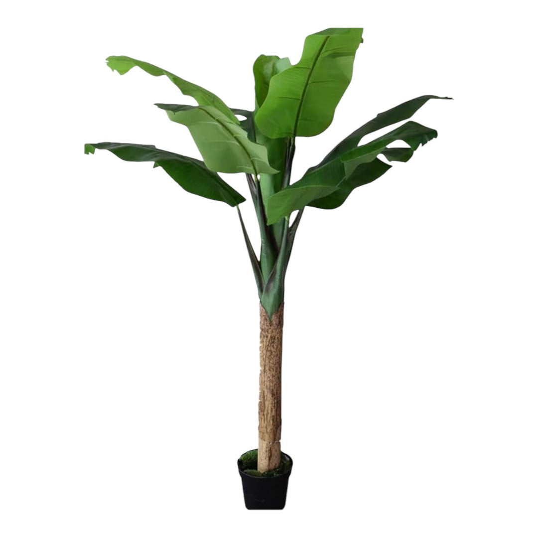 Artificial Banana Tree - Crack Banana Tree - Artificial Plant Floor (with Pot),2.5M
