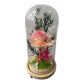 MHome Preserved Flower Dome Gifts - Various Options