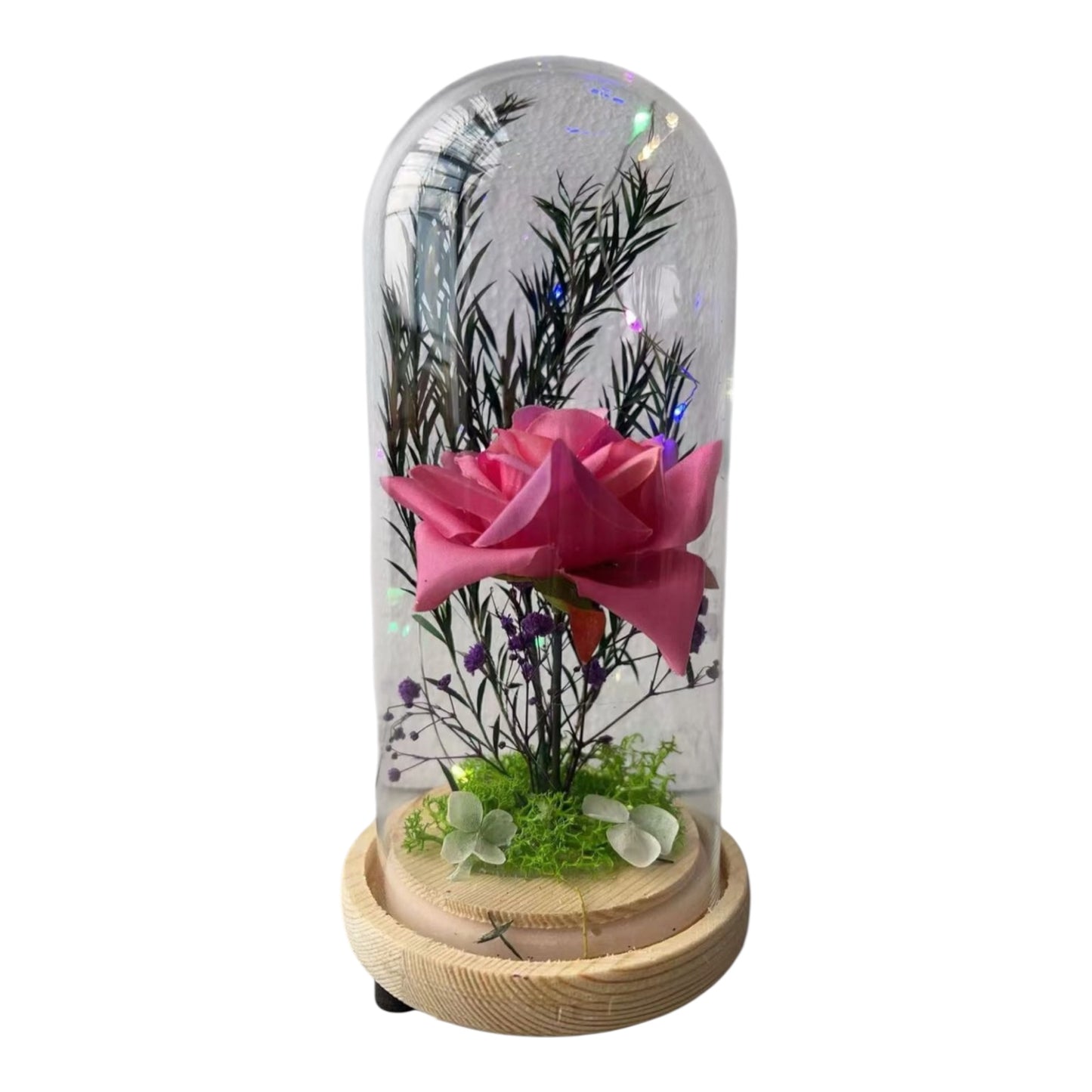 MHome Preserved Flower Dome Gifts - Various Options