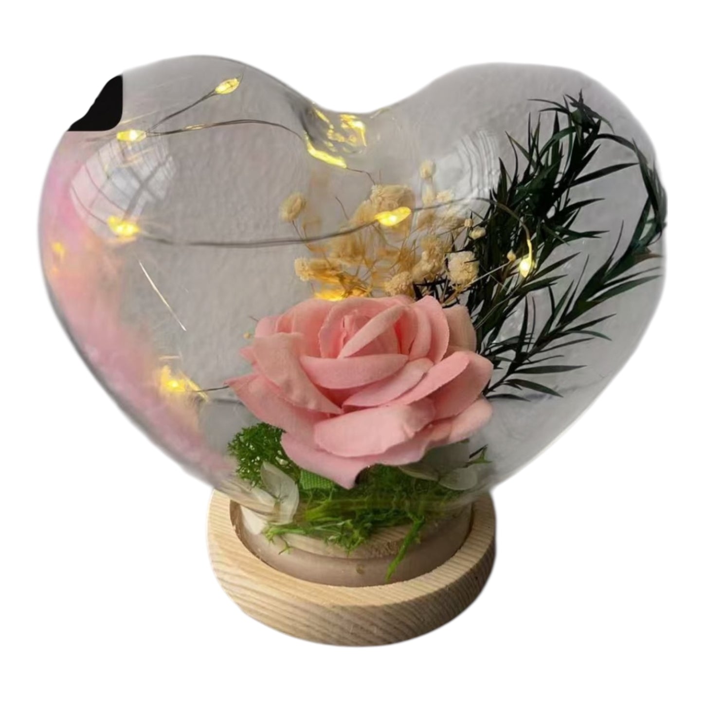 MHome Preserved Flower Dome Gifts - Various Options