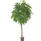Artificial Tree Pachira Twisted Trunk & Leaves Artificial Tree 1.7M