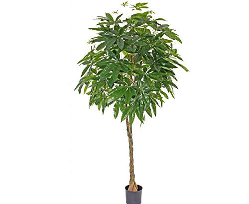 Artificial Tree Pachira Twisted Trunk & Leaves Artificial Tree 1.7M