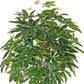 Artificial Tree Pachira Twisted Trunk & Leaves Artificial Tree 1.7M