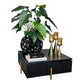MFurn Nordic Coffee Table – Square Black Oak with Champagne Legs