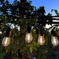 MHome Retro Festoon String Lights 5M
