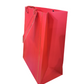 Medium gift bag
