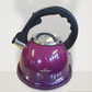 Colorful 3.2L Whistling Kettle