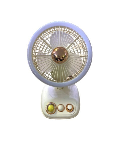 Rechargeable Mini Indoor/Outdoor Floor Fan