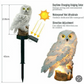 Owl Design Solar Garden Light