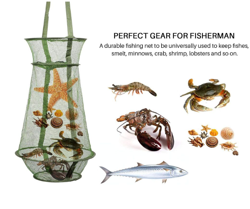 Fishing Net Mesh Collapsible Fish Cage Fishing Basket Foldable Fishing Trap