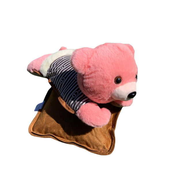 Electric Teddy Hot-Water Bag