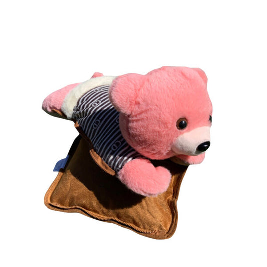 Electric Teddy Hot-Water Bag
