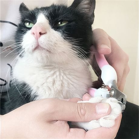 Pet Nail Clipper and File Set – Safe Grooming for Dogs, Cats & Small Pets