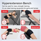Pro-Sportz Adjustable Roman Chair / Hyperextension Bench