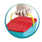 Tropical Fruit Picnic Basket Toy Set