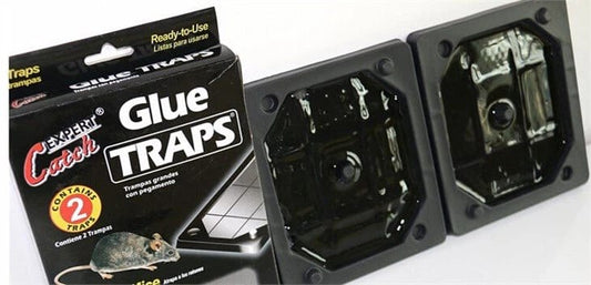 Mouse Glue Tray