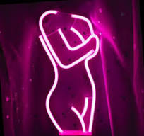 Flamingo Neon Sign USB And Battery Operated Decoration Lamp
