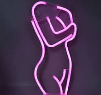 Flamingo Neon Sign USB And Battery Operated Decoration Lamp