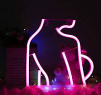 Flamingo Neon Sign USB And Battery Operated Decoration Lamp