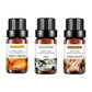 Essential Oil Herbal Collection | 100% Pure Steam Distilled Therapeutic Grade Essential Oil Set for Aromatherapy Diffuser and Topical Use | 4-Pack 10ml Bottles