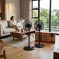 Omega 18-Inch Pedestal Fan Set – 2 Pieces (OM-F22)