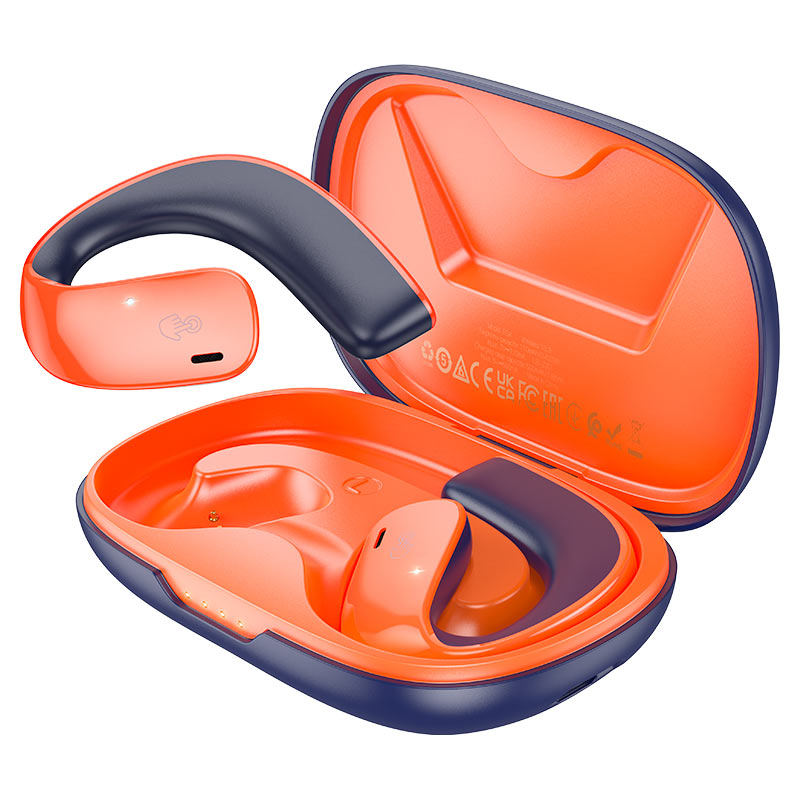 Hoco True Wireless Earbuds