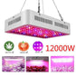 Grow Light 600w