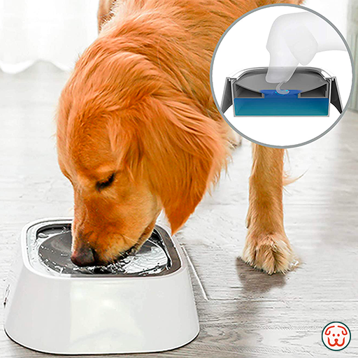 Pet bowl - MAGIC BOWL™ - for dogs and cats - White - Adult