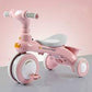 LUBBEEZ MULTIFUNCTIONAL TRIKE