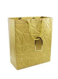 6 Pieces Kraft Paper Gift Bags