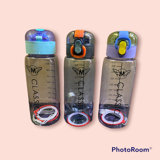 520ML  Water Bottle