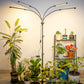 4-Heads Full Spectrum LED Grow Lights