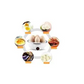 Electric Egg Poacher