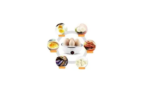 Electric Egg Poacher