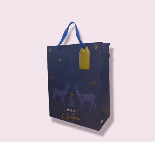 Large Merry Christmas Gift Bag