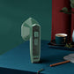 Mini Electric Iron Steamer