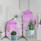 4-Heads Full Spectrum LED Grow Lights
