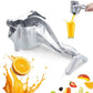 Fruit Press Juicer