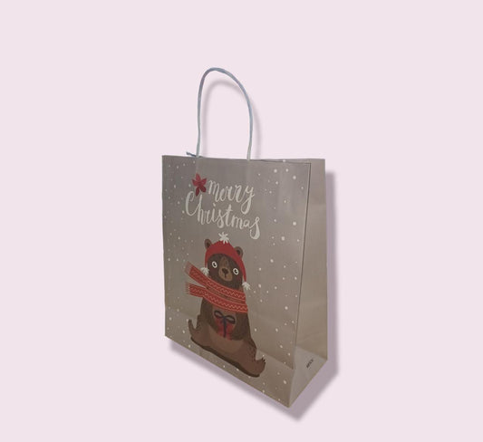 Merry Christmas Gift Bag
