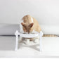 Multi-Purpose Adjustable Pet's  Feeding Bowl