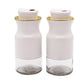 Steel and Glass Spice Shaker