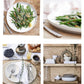 Dinner Plate Classic White 6pc